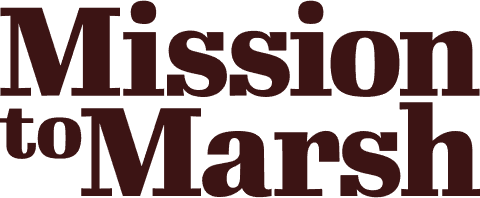 Mission To Marsh